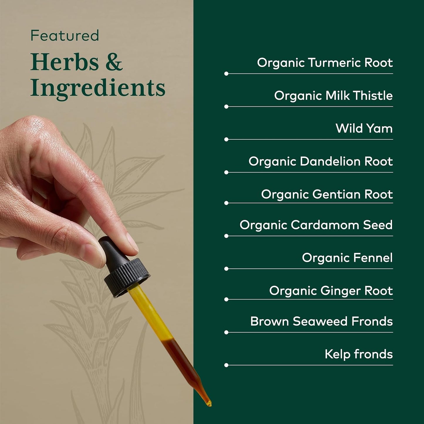 Gaia Herbs Pro Digestive Bitters with Turmeric - Natural Digestive Support Supplement - 2 Fluid Ounces