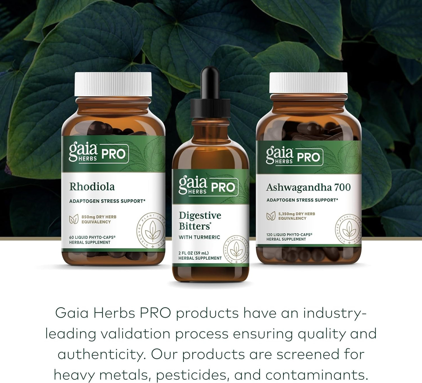 Gaia Herbs Pro Digestive Bitters with Turmeric - Natural Digestive Support Supplement - 2 Fluid Ounces