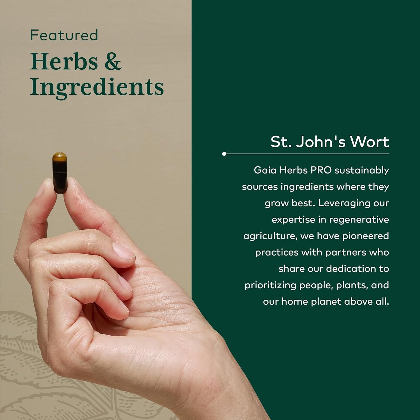 Gaia Herbs PRO St. John's Wort Supplement for Mood Support