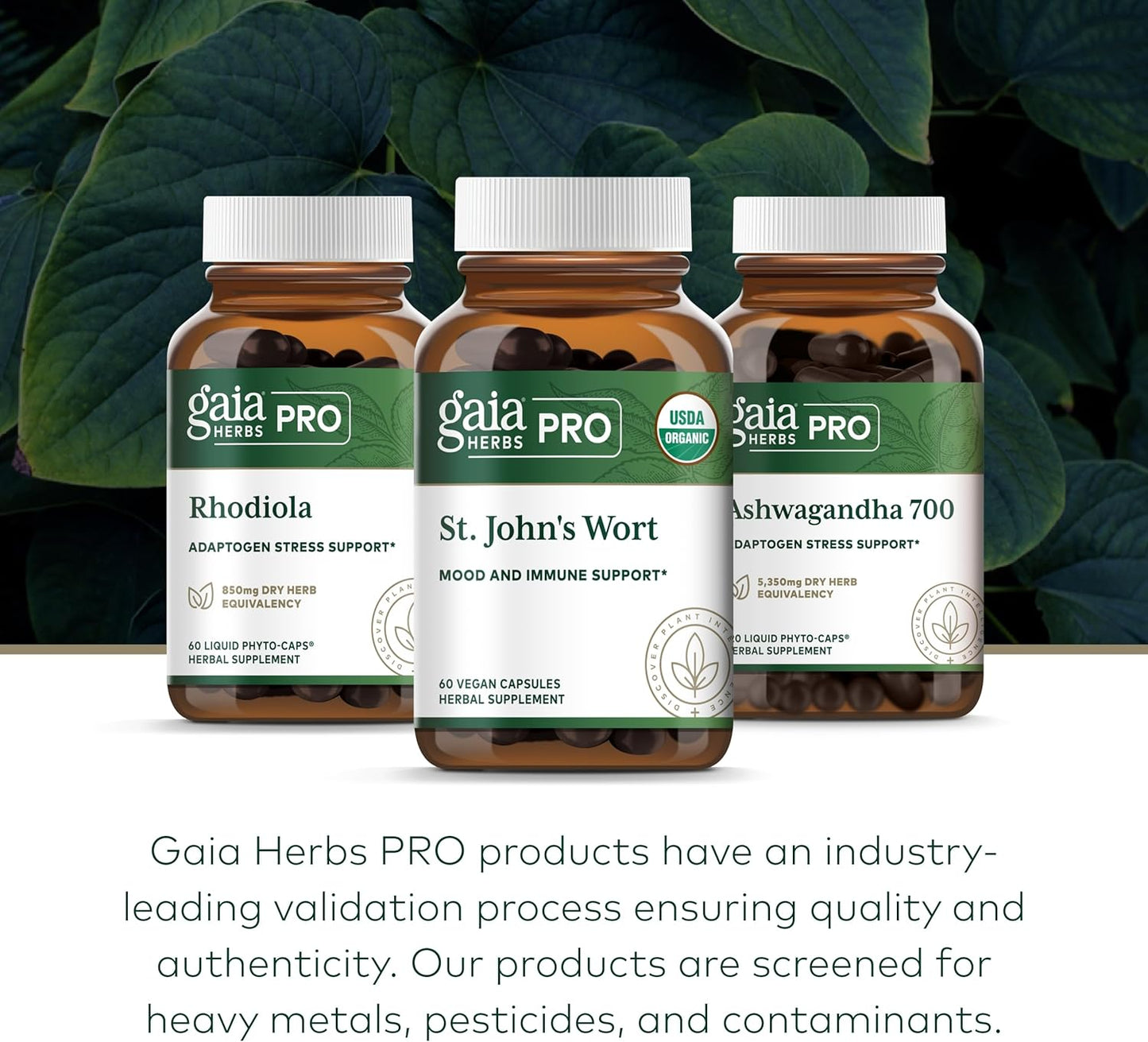 Gaia Herbs PRO St. John's Wort Supplement for Mood Support