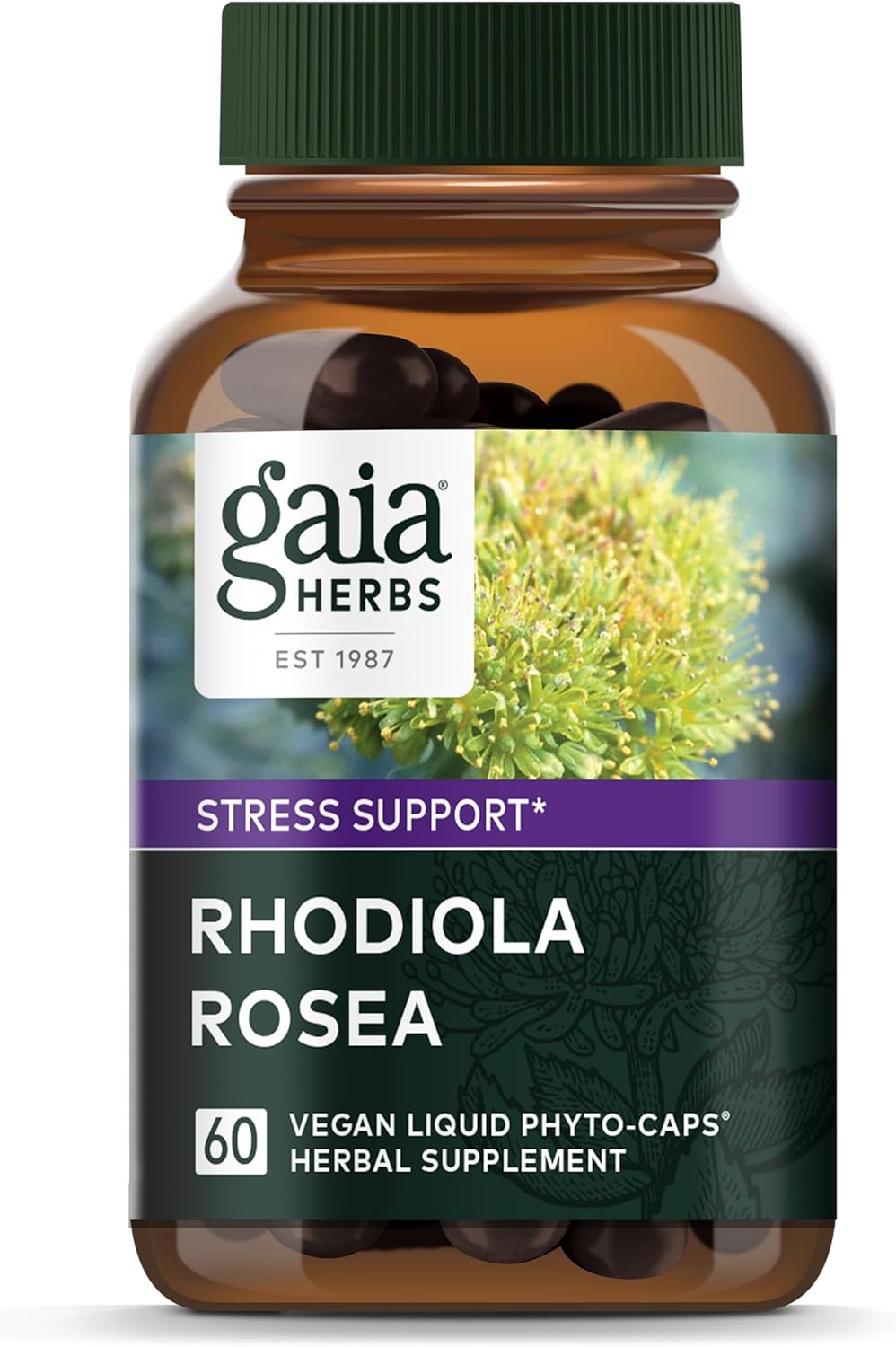 Gaia Herbs Rhodiola Rosea Supplement for Stress Support and Healthy Stamina - 60 Vegan Liquid Phyto-Capsules - BoostGo Australia