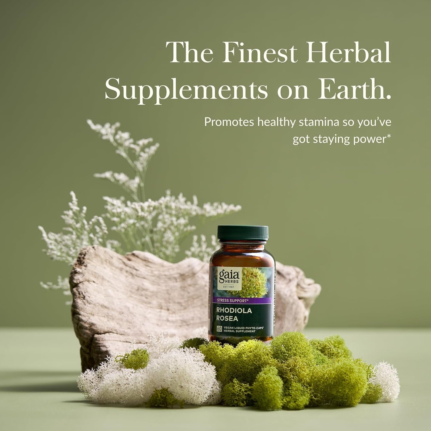 Gaia Herbs Rhodiola Rosea Supplement for Stress Support and Healthy Stamina - 60 Vegan Liquid Phyto-Capsules - BoostGo Australia