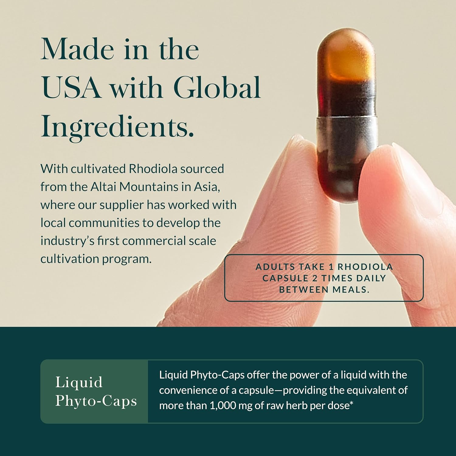 Gaia Herbs Rhodiola Rosea Supplement for Stress Support and Healthy Stamina - 60 Vegan Liquid Phyto-Capsules - BoostGo Australia