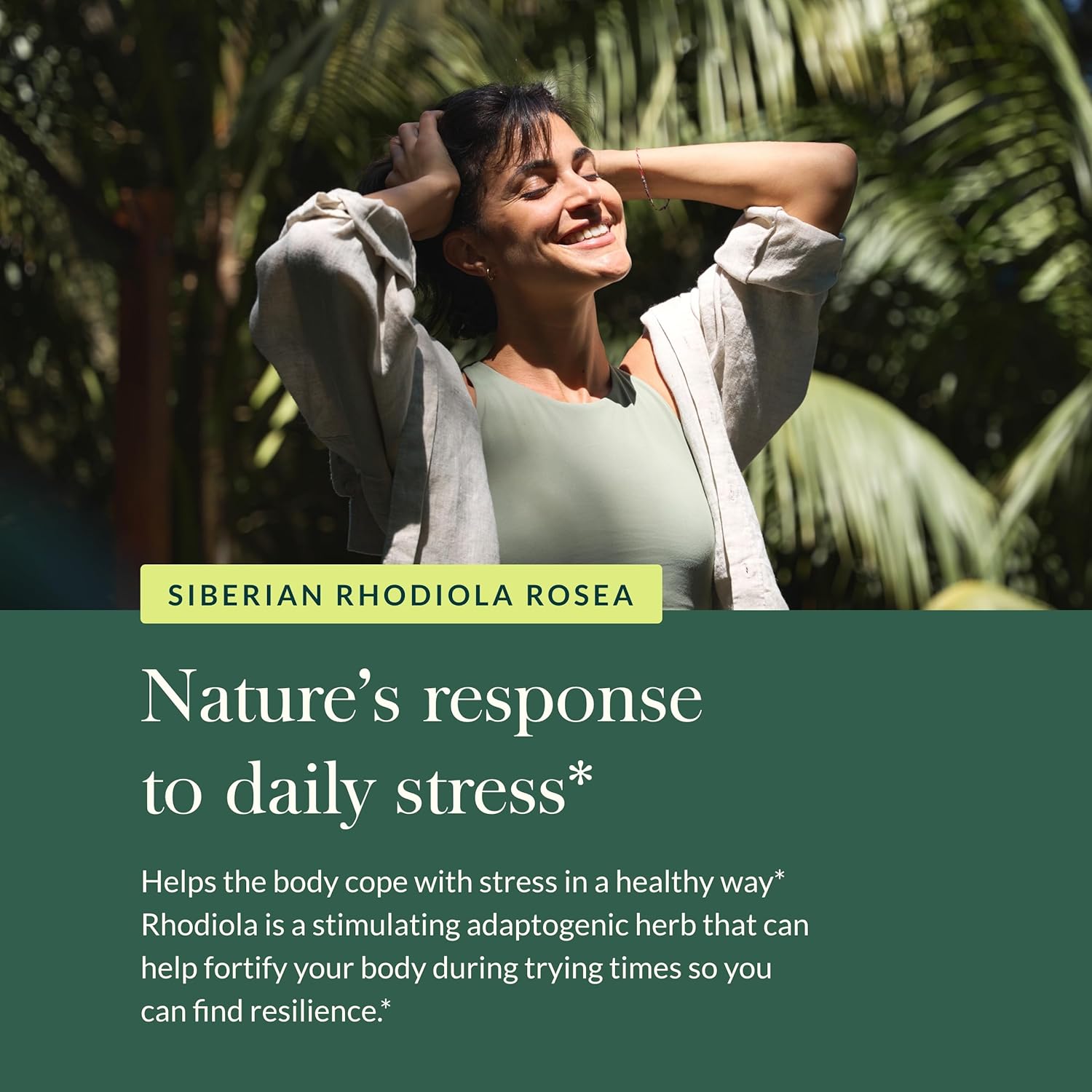 Gaia Herbs Rhodiola Rosea Supplement for Stress Support and Healthy Stamina - 60 Vegan Liquid Phyto-Capsules - BoostGo Australia