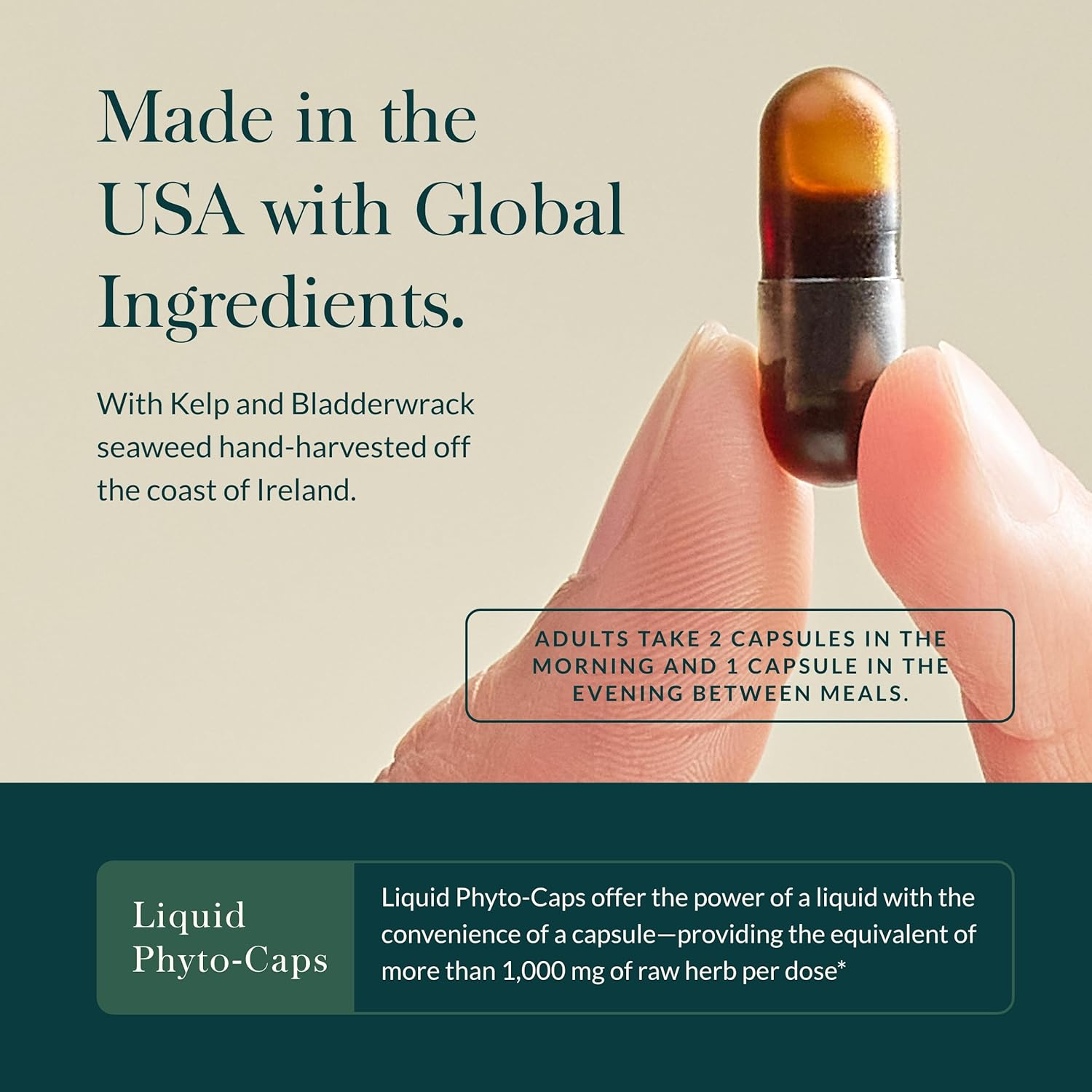 Gaia Herbs Thyroid Support: Vegan Liquid Phyto-Capsules with Ashwagandha, Kelp, Brown Seaweed, Schisandra - 40-Day Supply for Metabolic Balance