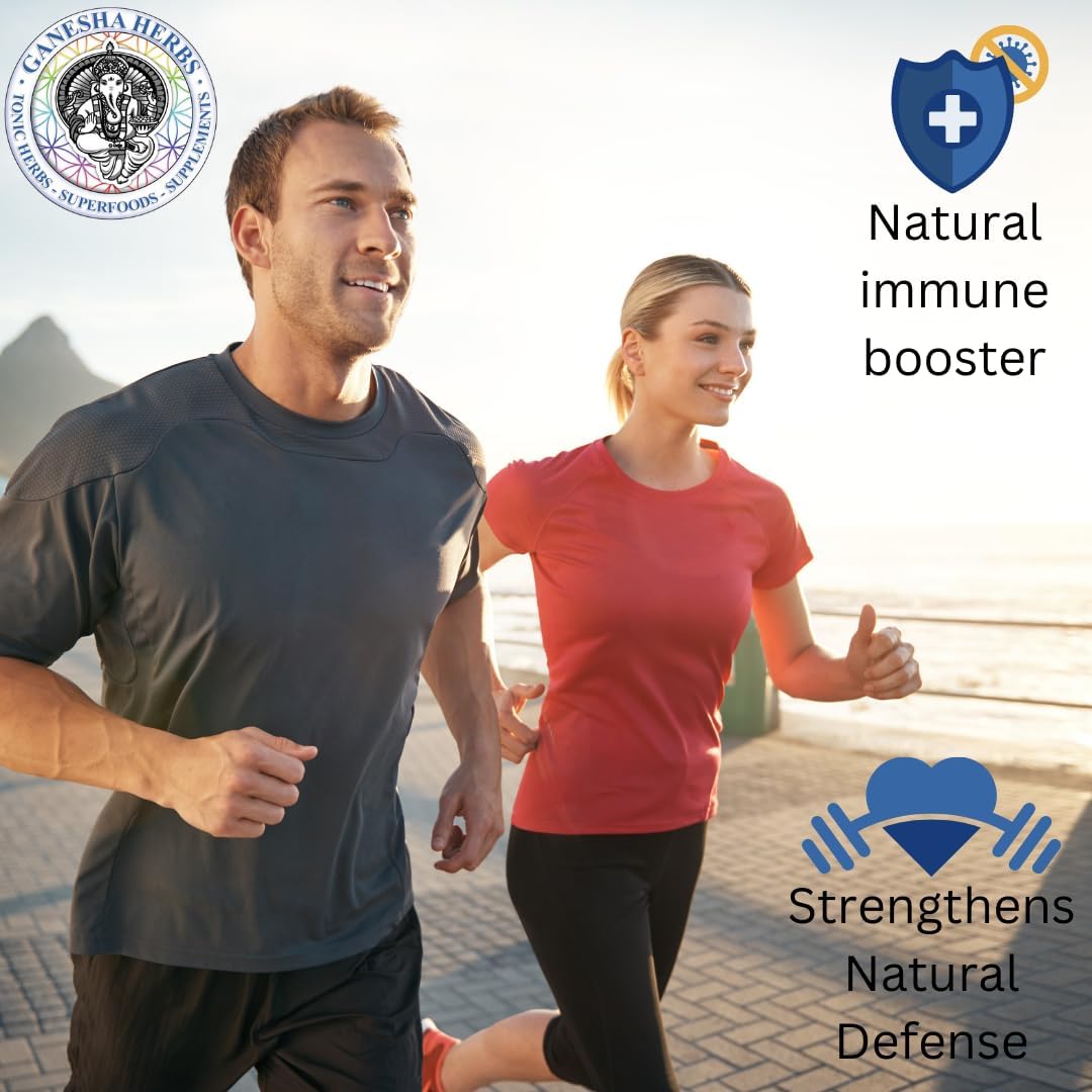 Ganesha Herbs Suramax and Pine Needle Complex Tincture with High Shikimic Acid - 2 Oz (2 Pack) - Value Bundle