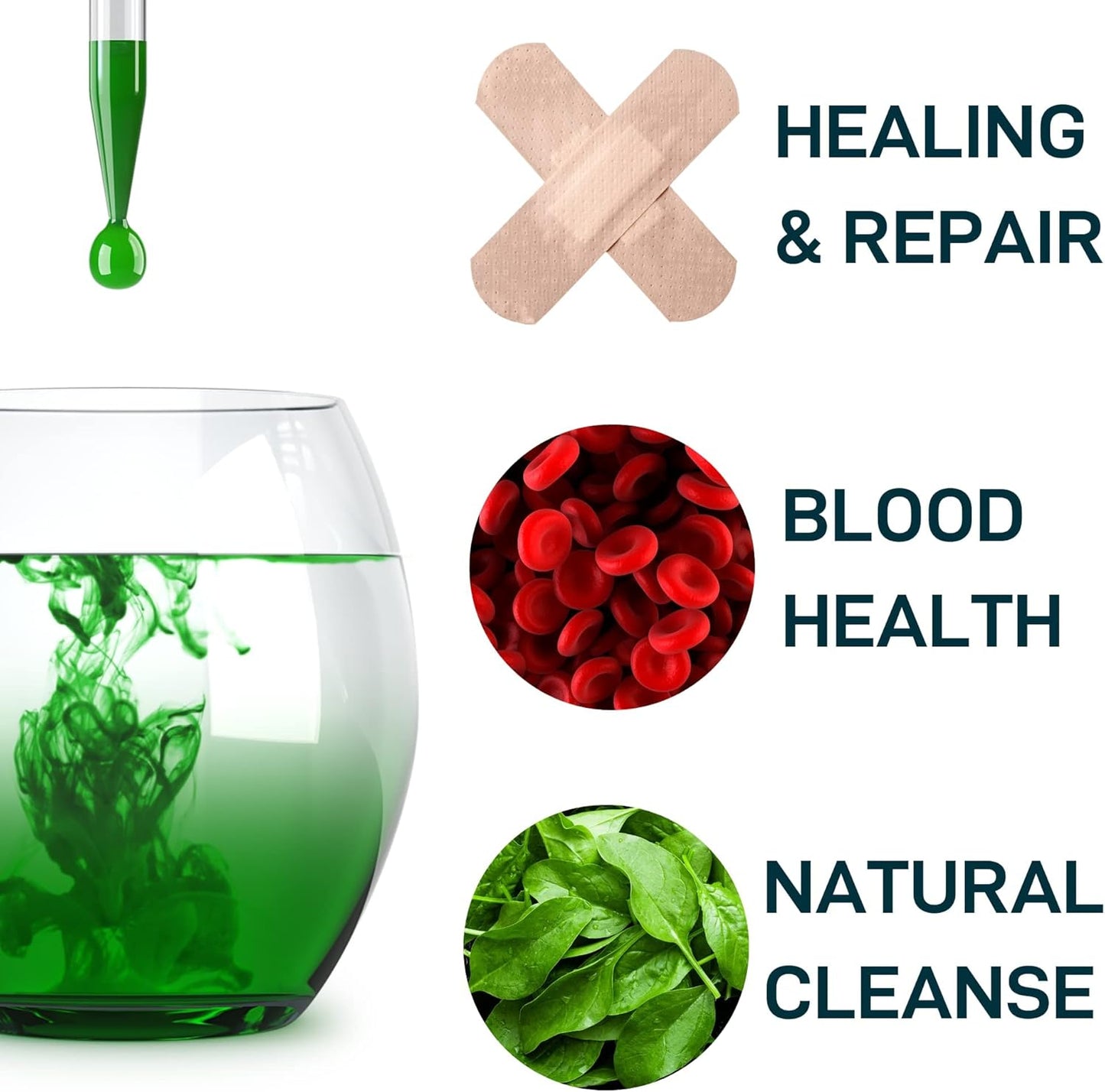 General Wellness Bundle: Liquid Chlorophyll and Saffron Capsules by WILD FUEL
