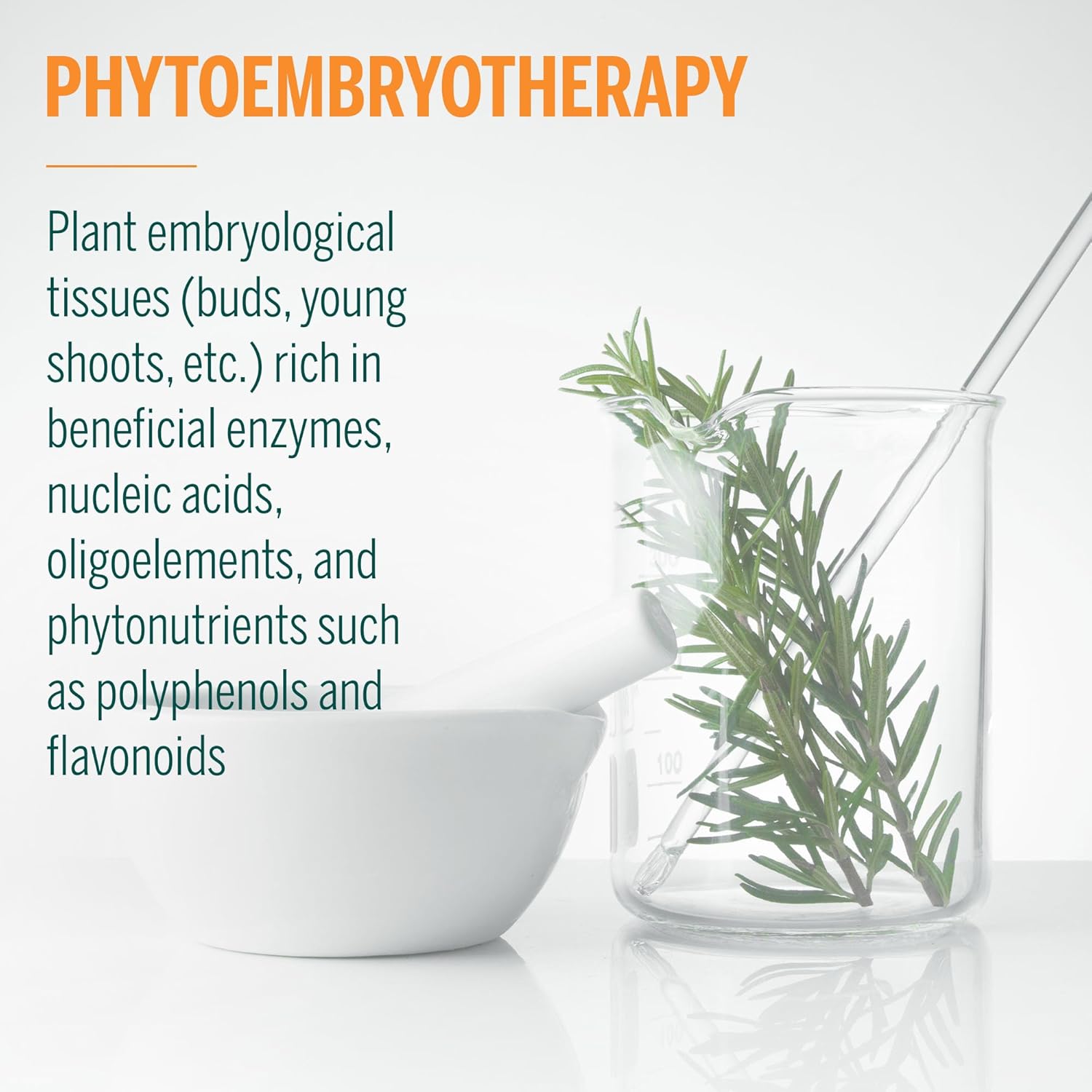 Genestra Brands Al-gen Herbal Supplement with Black Currant, Rosemary, and Juniper - 0.5 fl. oz.