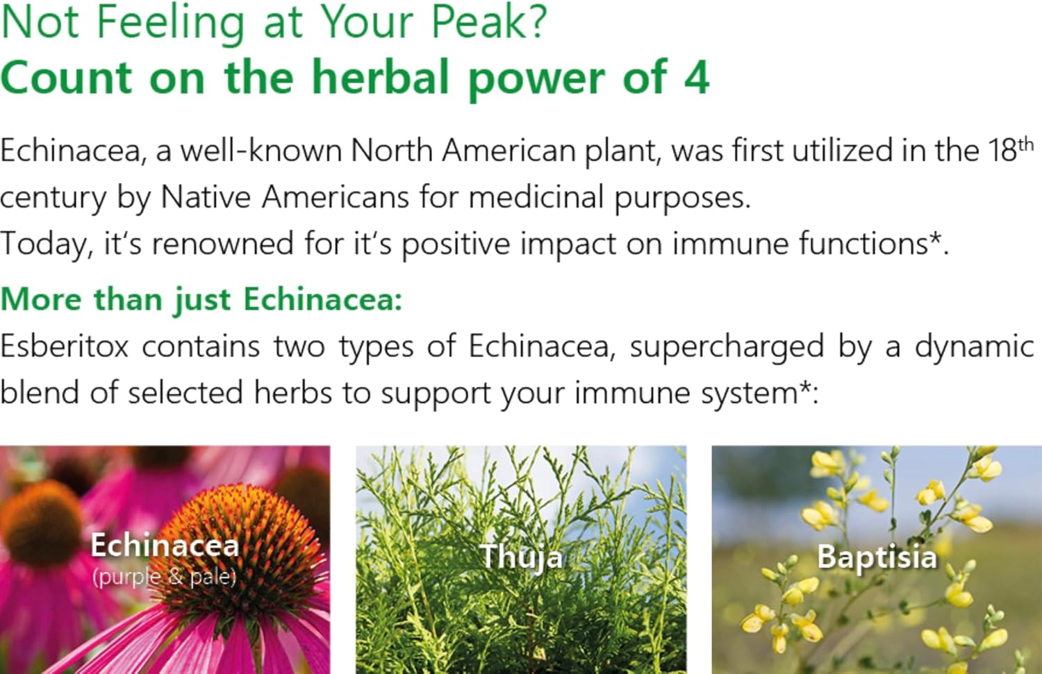 German-Made ESBERITOX Immune Support Herbal Supplements with Wild Indigo Root & Purple Coneflower - 100 Tablets