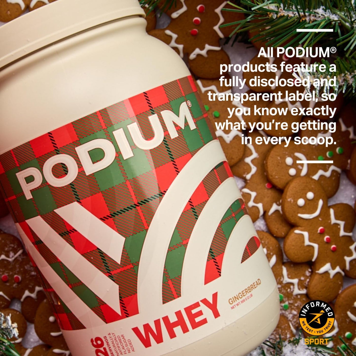 Gingerbread Whey Protein Powder with Digestive Enzymes - 25g Protein Per Serving - Gluten Free - Low Carb & Sugar - 27 Servings