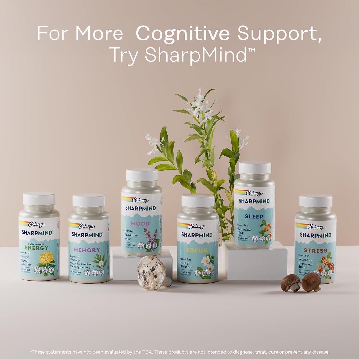 Ginkgo Biloba Extract with Gotu Kola Capsules for Brain Health Support - Vegan, Lab Verified - 60 Servings, 60 VegCaps - 60-Day Guarantee