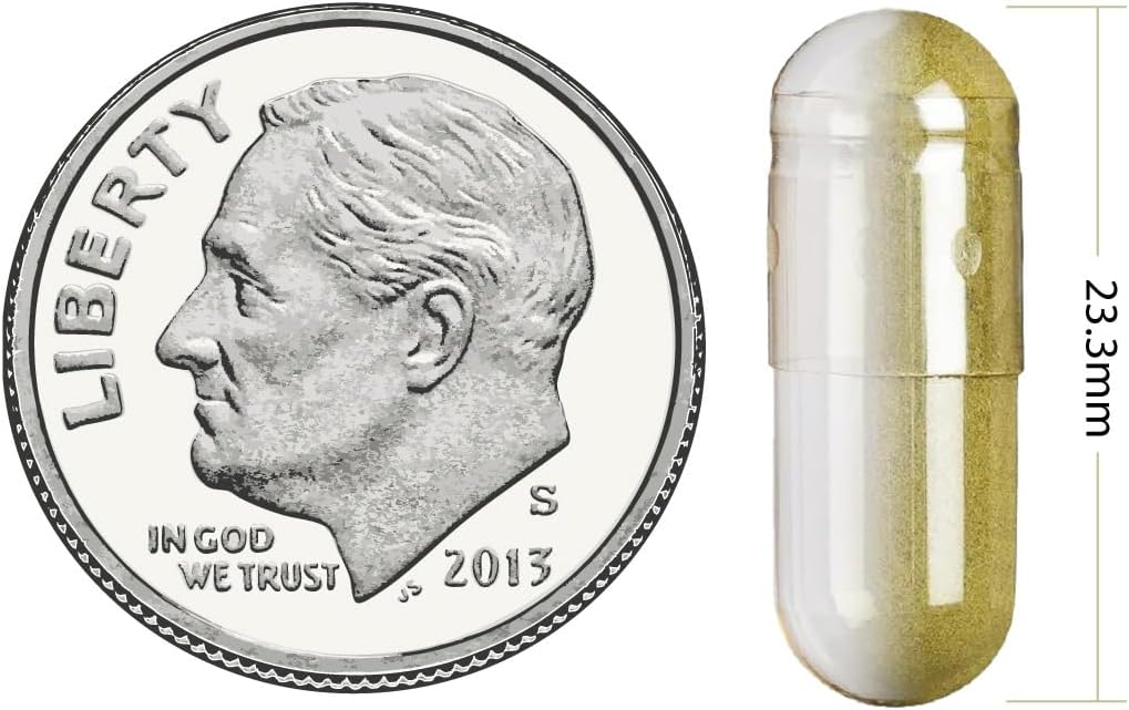 Glucosamine Chondroitin Veggie Capsules for Joint, Bone, and Muscle Support - 100 Capsules, 550mg Each