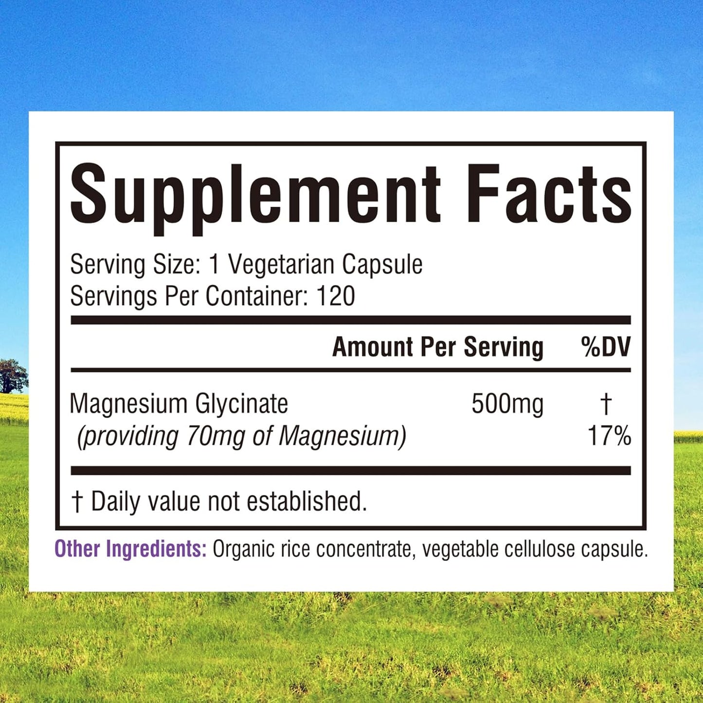 Gluten-Free Vegan Magnesium Glycinate & Vitamin B12 Bundle - 120 Caps & 90 Fast Dissolve Tabs - Value Pack & Save!