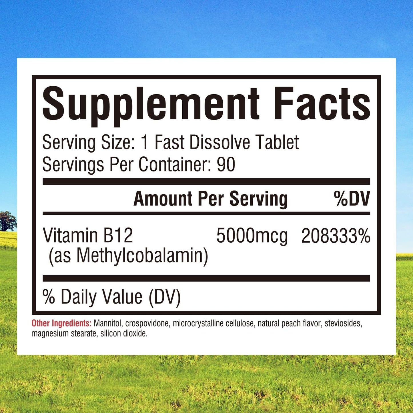 Gluten-Free Vegan Magnesium Glycinate & Vitamin B12 Bundle - 120 Caps & 90 Fast Dissolve Tabs - Value Pack & Save!