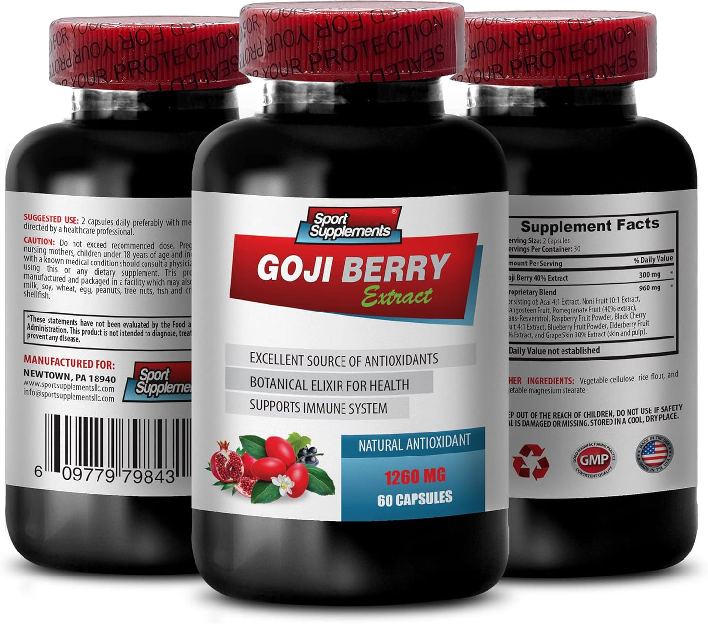 Goji Berry Immune Defense Supplement with Pomegranate Extract - Antioxidant Pills for Energy Boost and Detox - 2 Bottles x 120 Capsules