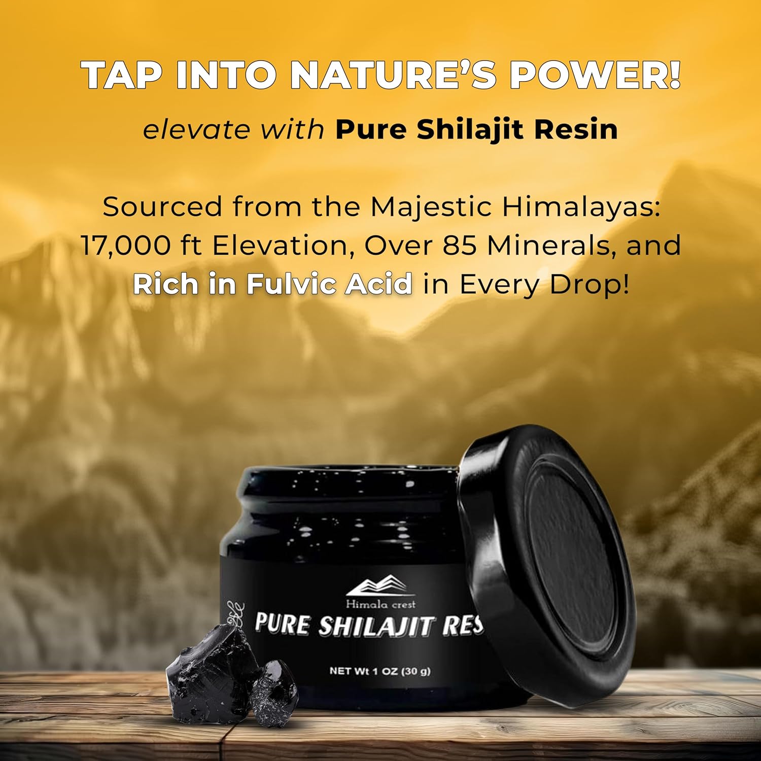 Gold Grade Pure Himalayan Organic Shilajit Resin - High Potency with 70% Fulvic Acid, 85+ Trace Minerals for Energy & Immune Support - 30g, 75 Servings