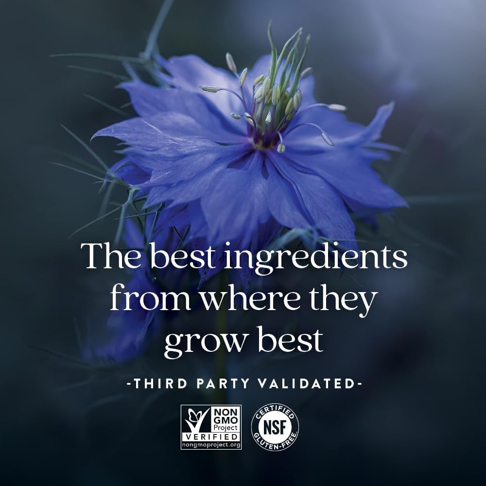 Golden Black Seed & Turmeric Capsules for Metabolic Health and Healthy Mood - 60 ct Vegan Capsules - BoostGo Australia