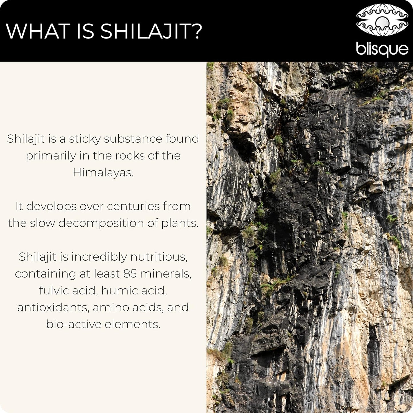 Golden Grade A Himalayan Organic Shilajit Resin Supplement with Fulvic Acid | 60g Pure and Natural Trace Minerals