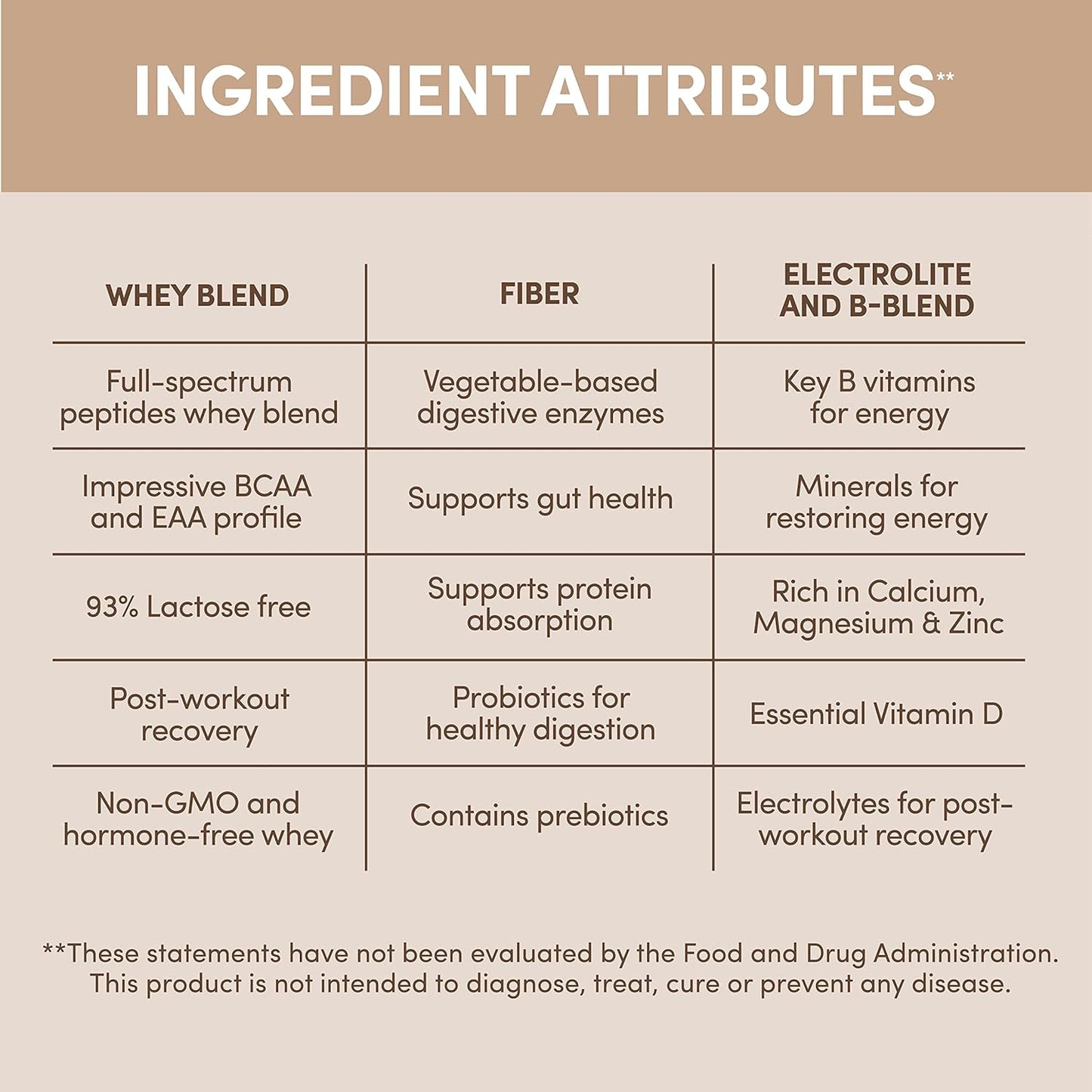 Gourmet Chocolate Designer Whey Protein Powder with Probiotics, Fiber, and B-Vitamins - 2 lb Gluten-Free Formula for Energy and Wellness
