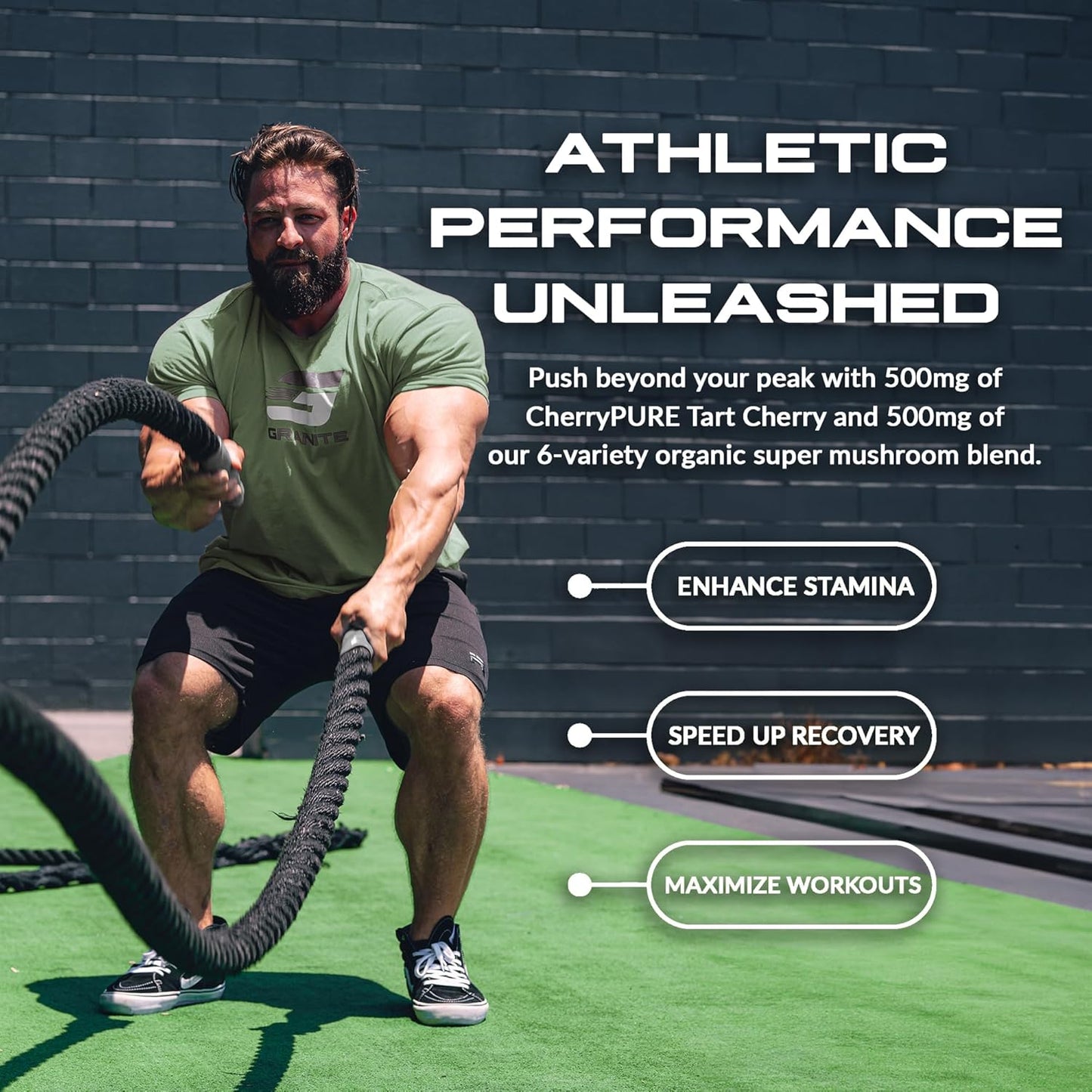 Granite Supplements Vital Shield Very Berry Greens Superfood Powder - Performance, Gut Health, Immunity Support (30 Servings)