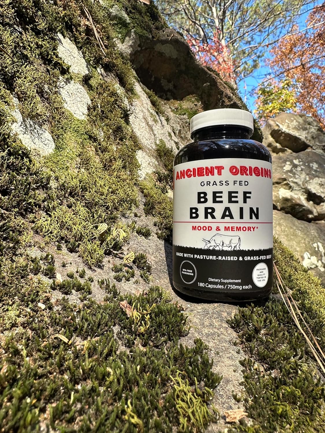 Grass-Fed Beef Brain Supplement with Liver, Whole Food Brain Support, 180 Capsules, Non-GMO