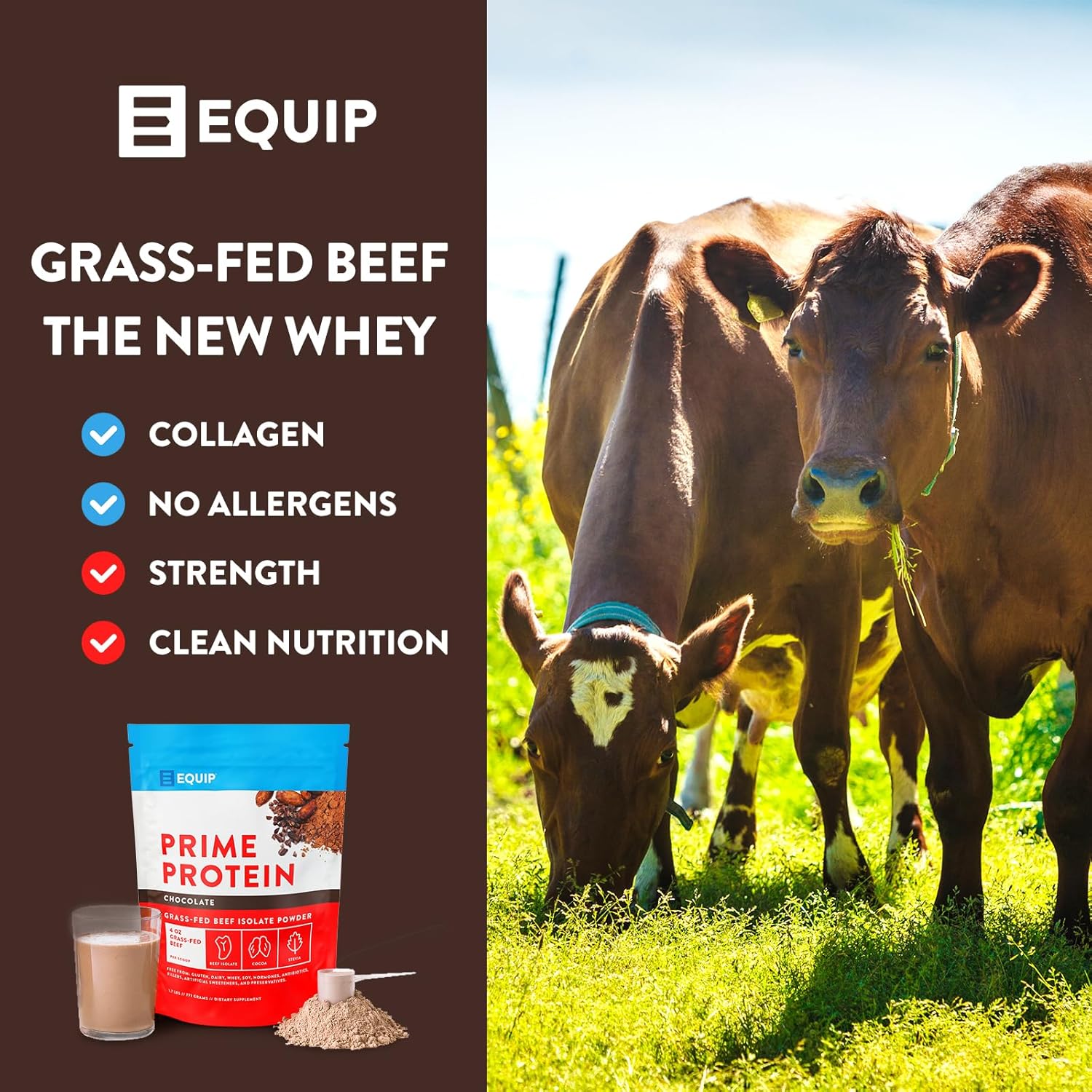 Grass-Fed Beef Isolate Chocolate Protein Powder with Colostrum - Gluten Free & Keto Friendly Supplement - Prime Protein & Core Colostrum Powder - Chocolate & Unflavored Options