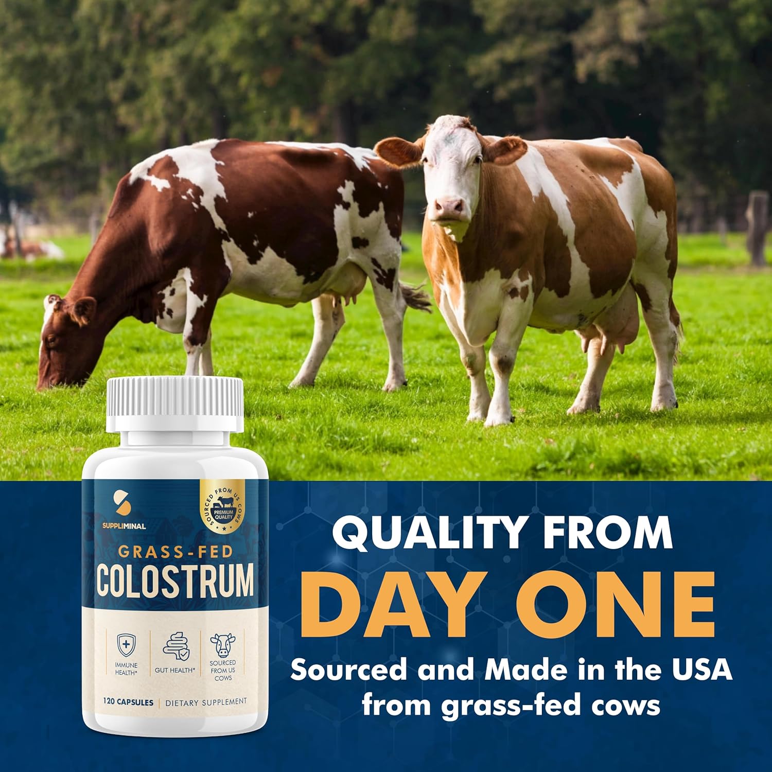 Grass Fed Bovine Colostrum Supplement - 60 Day Supply, Colostrum Powder Capsules - BoostGo Australia