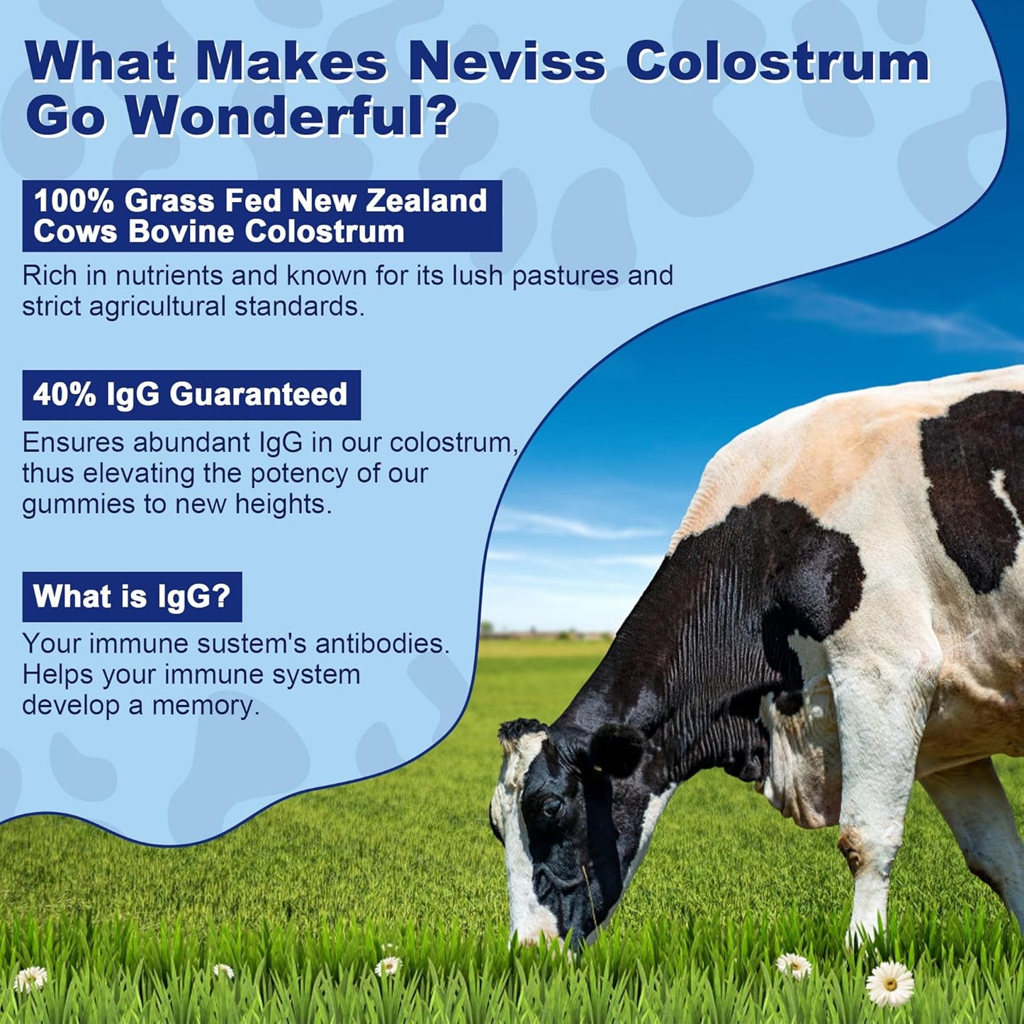 Grass Fed Colostrum Gummies with Nicotinamide - Sugar Free and 500mg Formula