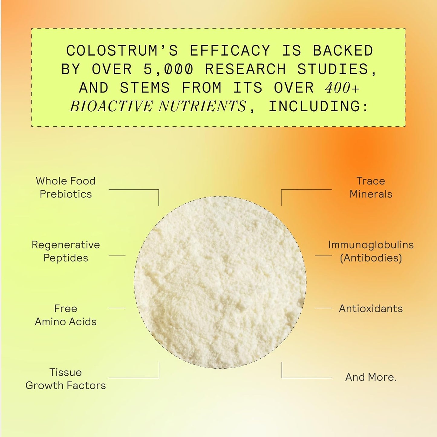 Grass Fed Colostrum Powder for Gut Health, Immunity, Skin & Hair - 400+ Bioactive Nutrients, Keto, Gluten & Fat Free - Unflavored Bundle, 150 Servings