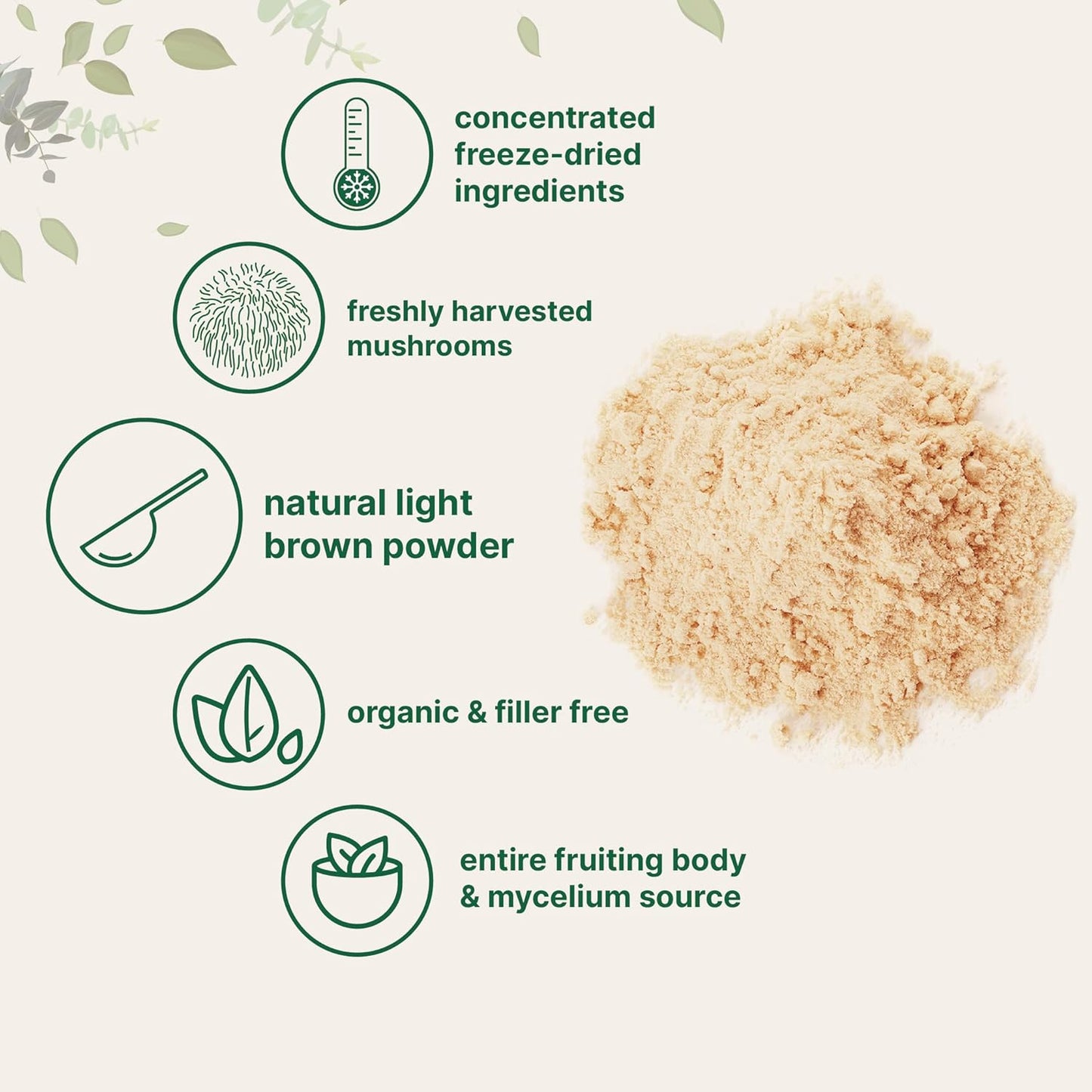 Grass-Fed Multi Collagen Complex & Lions Mane Mushroom Powder Bundle - 2 Pack | Natural Brain, Energy, Immune Health Superfood