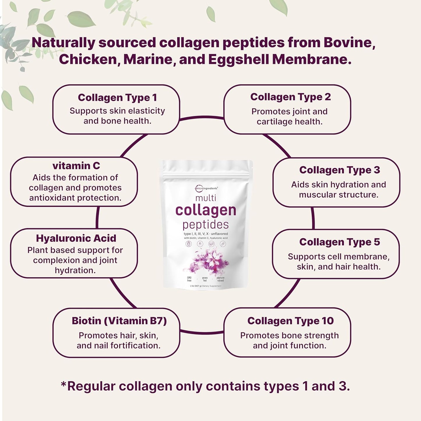 Grass-Fed Multi Collagen Protein Powder & Colostrum Bundle - 2lbs Each | Premium Bovine Peptides & Instant Mother’s Milk - 2 Pack