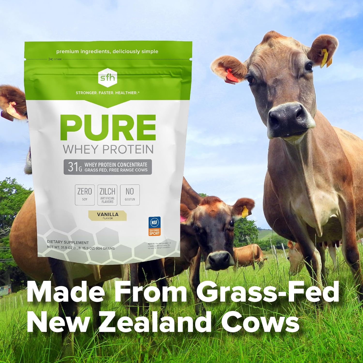 Grass Fed Vanilla Whey Protein Powder - All Natural, Non-GMO, Soy and Gluten Free (31.9 oz)