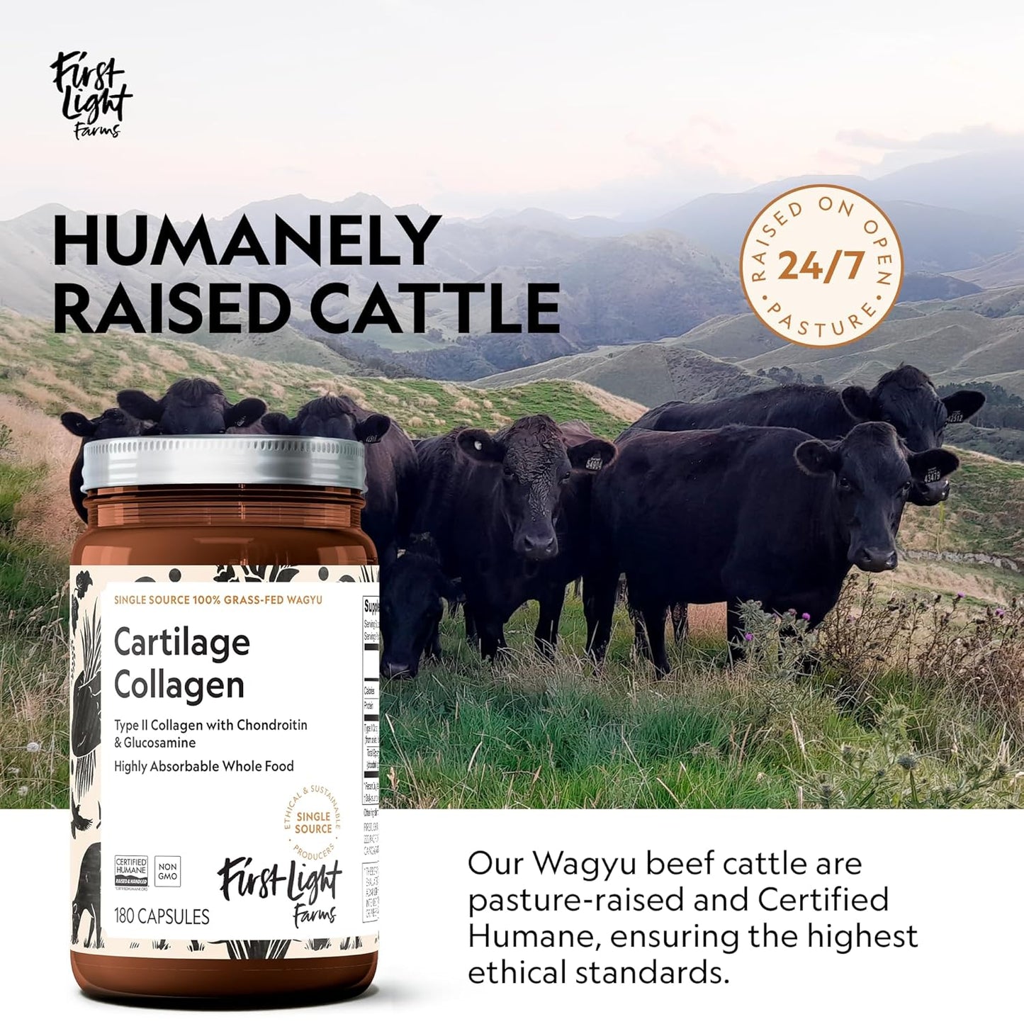Grass-Fed Wagyu Cartilage Collagen Capsules | Freeze-Dried Type II Collagen for Joint Health | Supports Recovery & Skin Health | 120 Capsules