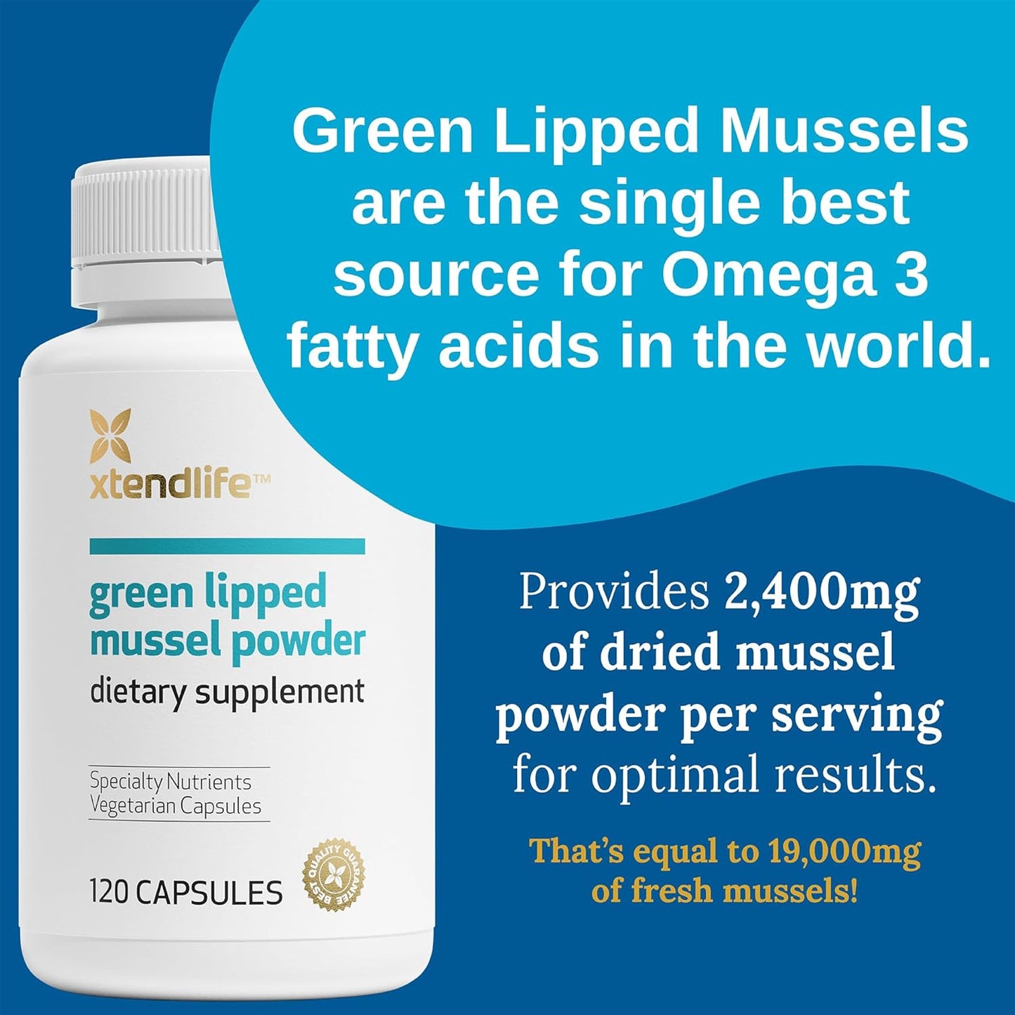 Green Lipped Mussel Powder Supplement 2400mg with Omega-3 for Joint Health - 120 Capsules (3 Pack)