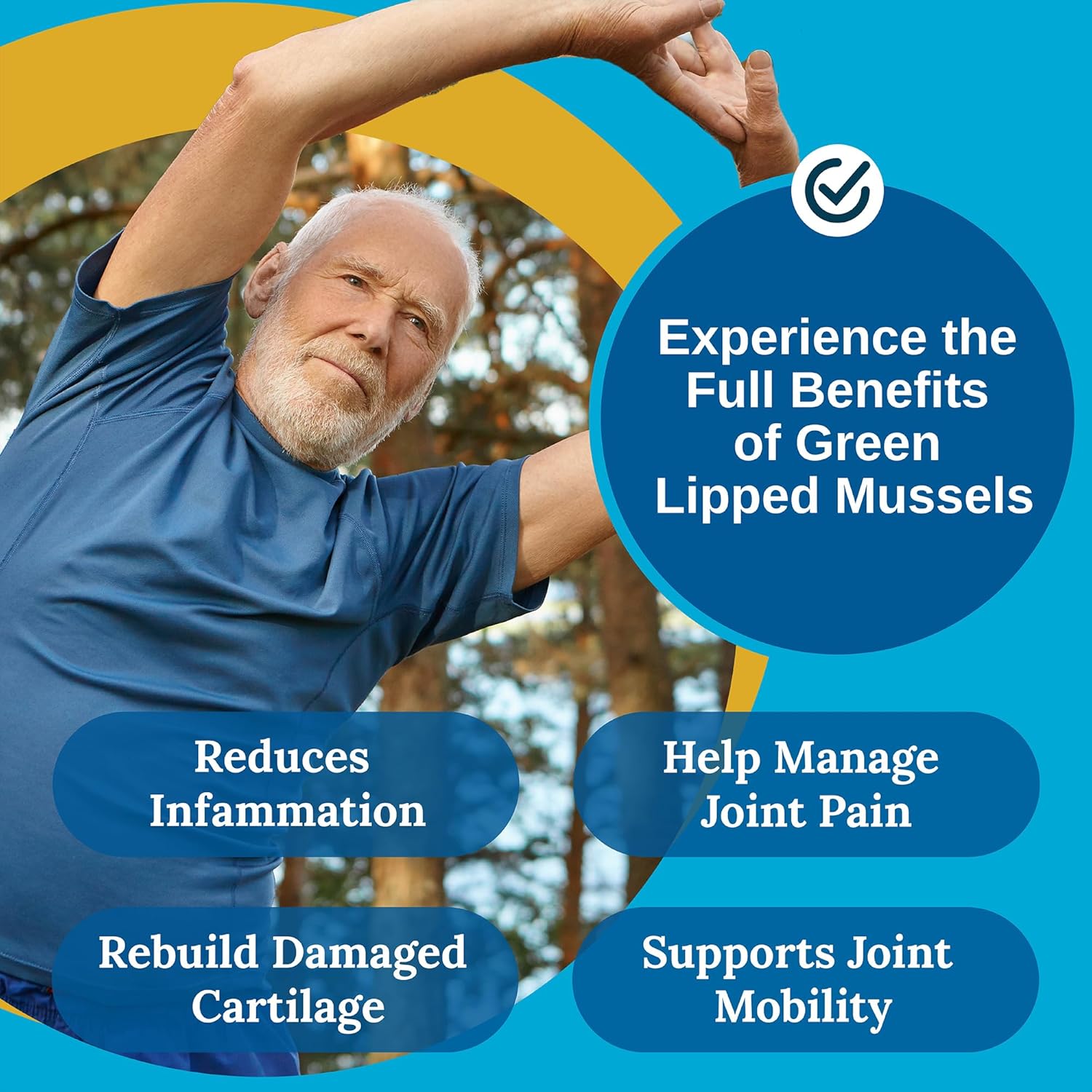 Green Lipped Mussel Powder Supplement 2400mg with Omega-3 for Joint Health - 120 Capsules (3 Pack)