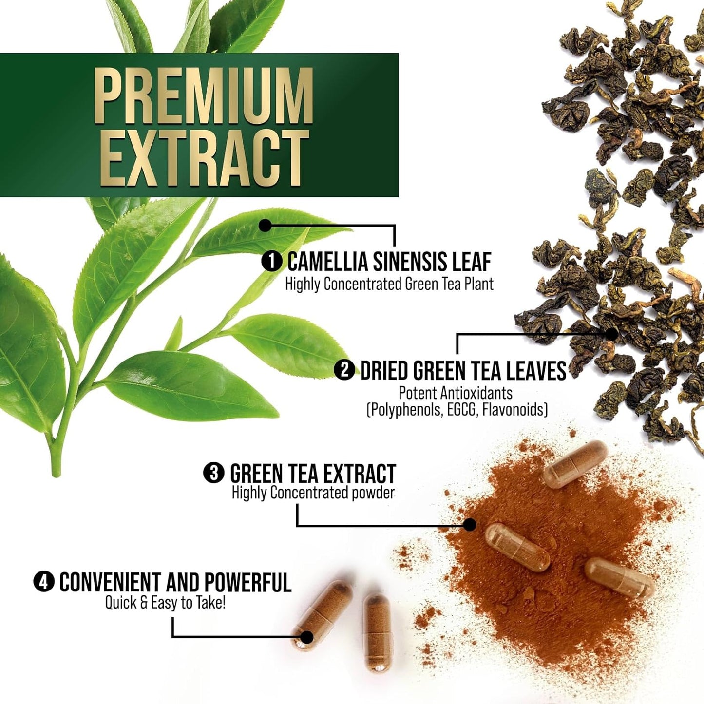 Green Tea Extract Capsules 1000mg - 98% Standardized EGCG - 3X Strength for Natural Energy - Heart Support - Rich in Polyphenols - 120 Capsules