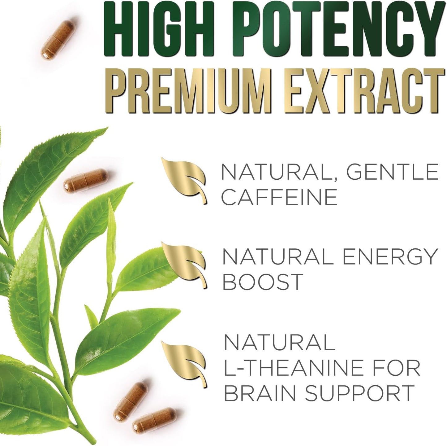 Green Tea Extract Capsules 1000mg - 98% Standardized EGCG - 3X Strength for Natural Energy - Heart Support - Rich in Polyphenols - 120 Capsules