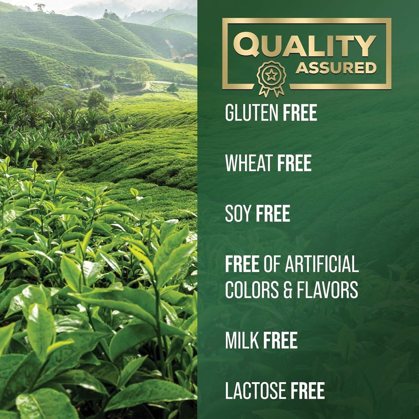 Green Tea Extract Capsules 1000mg - 98% Standardized EGCG - 3X Strength for Natural Energy - Heart Support - Rich in Polyphenols - 120 Capsules