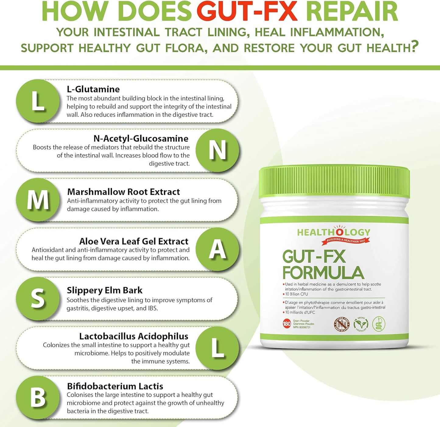 GUT-FX Gut Supplement for Leaky Gut Repair, Inflammation Reduction, Bloating Relief | Probiotics, L-Glutamine, Marshmallow Root