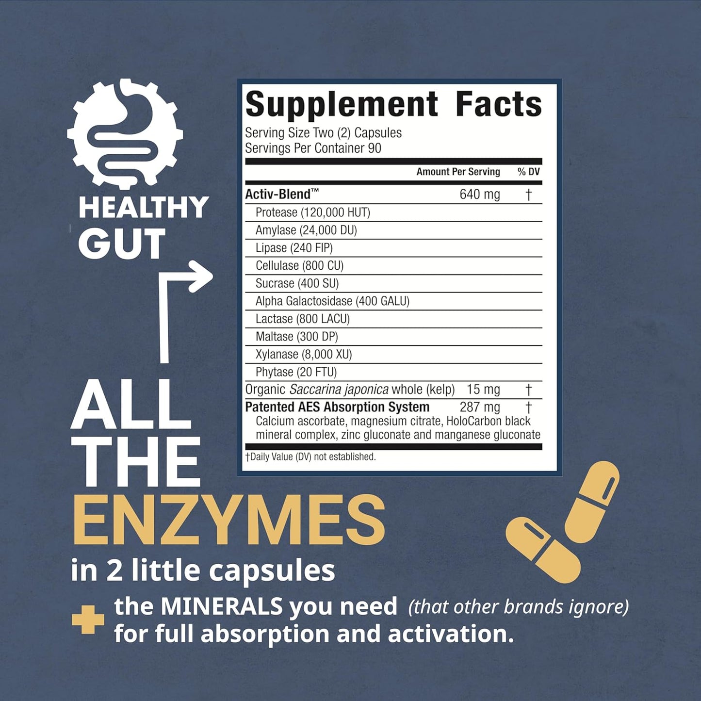 Gut Health Constipation Relief Bundle | Magnesium HP, Holozyme, and HCL Guard