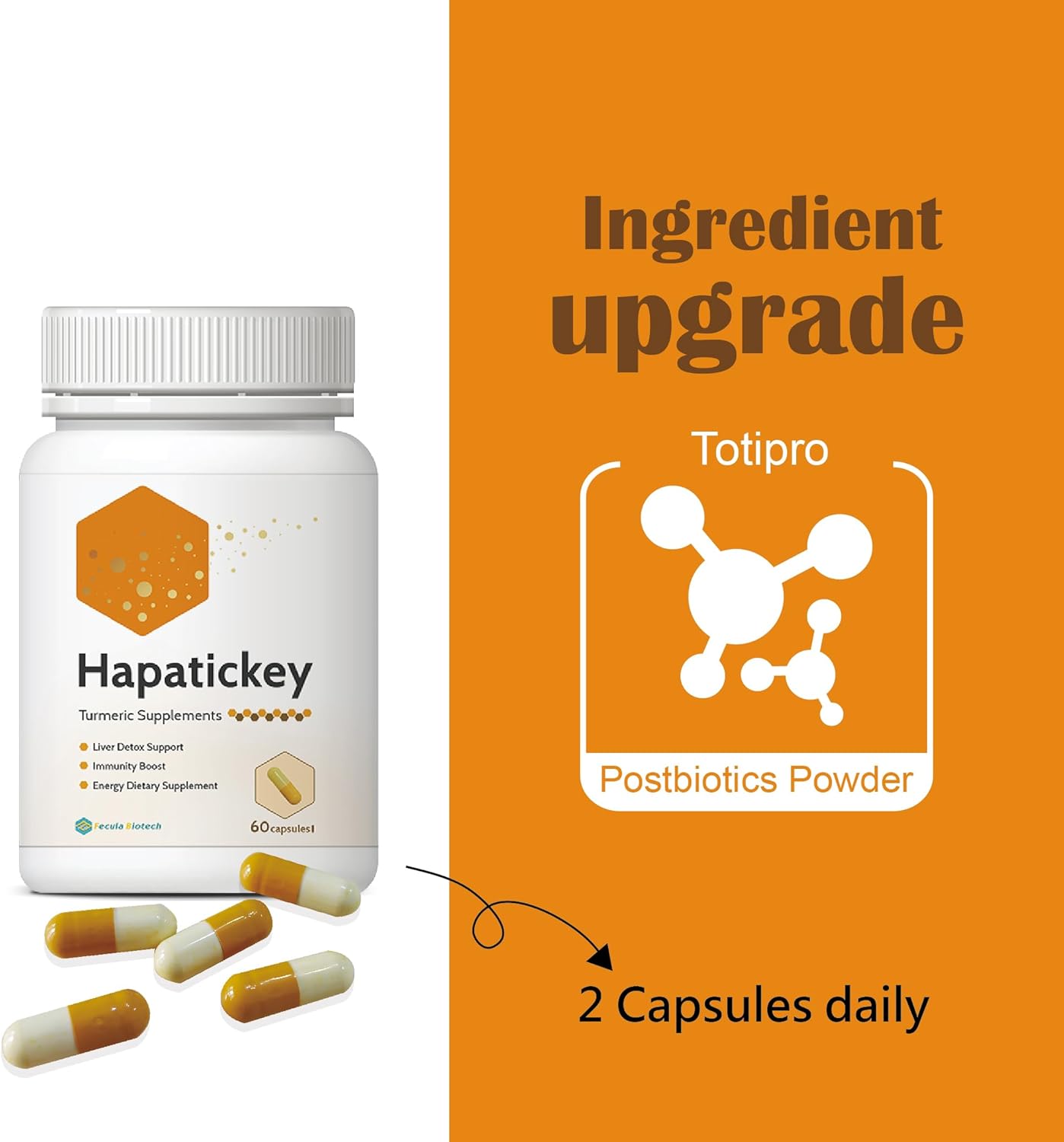 Gut Health Synbiotic with Turmeric Curcumin Supplement Combo Pack - 30 Capsules & 60 Capsules