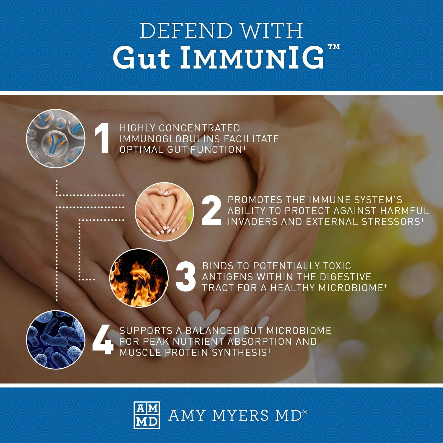 Gut ImmunIG Powder - Digestive Health Supplement for Immune Support - Amy Myers MD Gut Health Supplement - 90g (30 Servings)