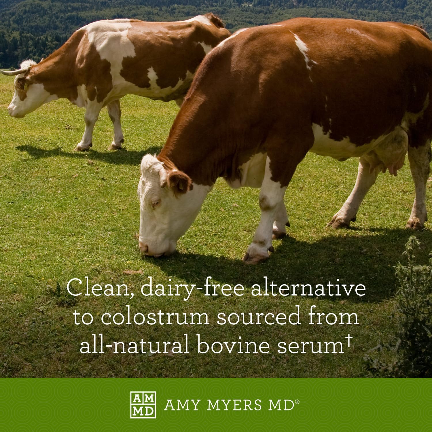 Gut ImmunIG Powder - Digestive Health Supplement for Immune Support - Amy Myers MD Gut Health Supplement - 90g (30 Servings)