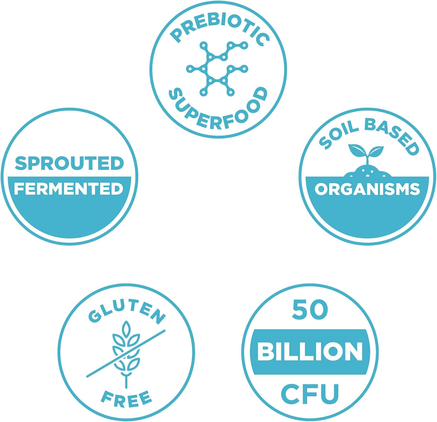 Gut Restore Probiotics with Ginger and Fenugreek, 60ct - Supports Digestion, Reduces Gas & Bloating, Superfoods Blend, 50B CFUs/serving