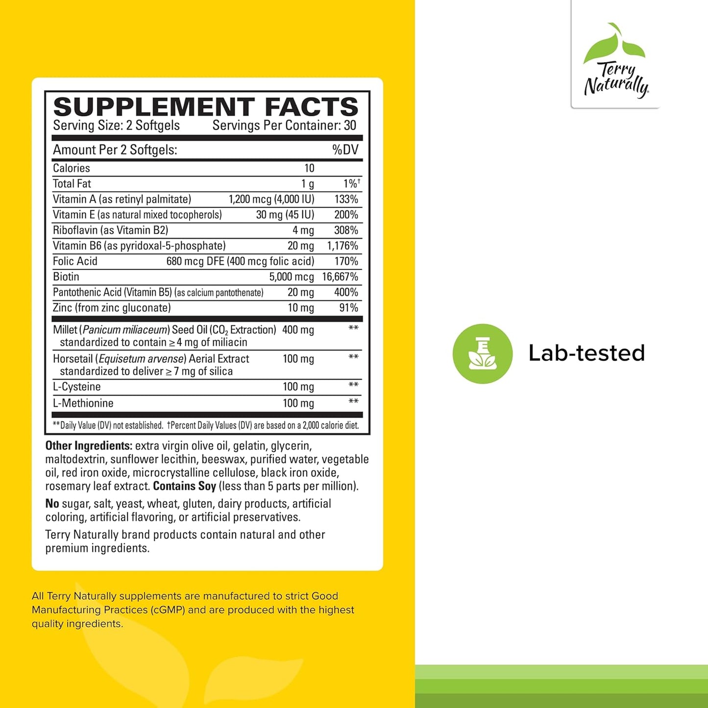 Hair Renew Formula: Hair Growth Support Supplement with Horsetail, Biotin, Folic Acid, Millet Seed Oil - 2 Pack of 60 Softgels by Terry Naturally