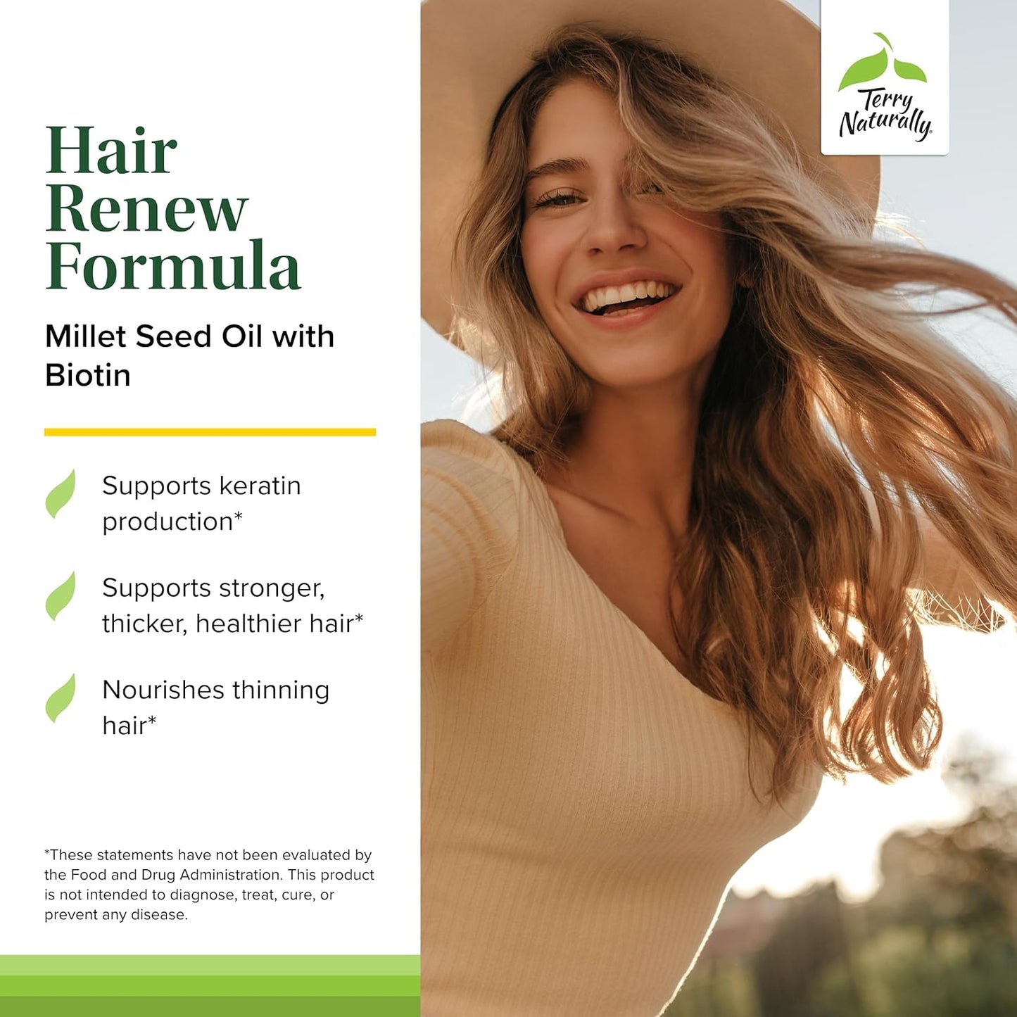 Hair Renew Formula: Hair Growth Support Supplement with Horsetail, Biotin, Folic Acid, Millet Seed Oil - 2 Pack of 60 Softgels by Terry Naturally