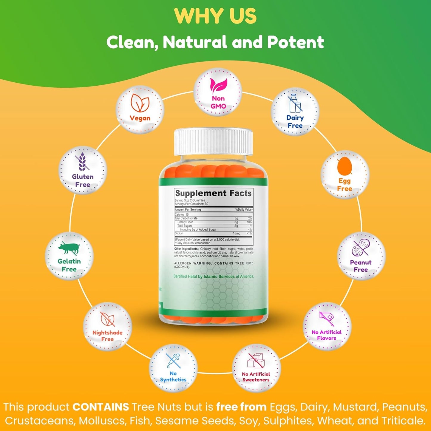 Halal & Gluten Free Fiber Gummies for Kids & Adults | 3g per Serving, 60 Gummies | Boosts Digestive Health & Immunity with Vegan Prebiotic | Non-GMO & Gelatin-Free