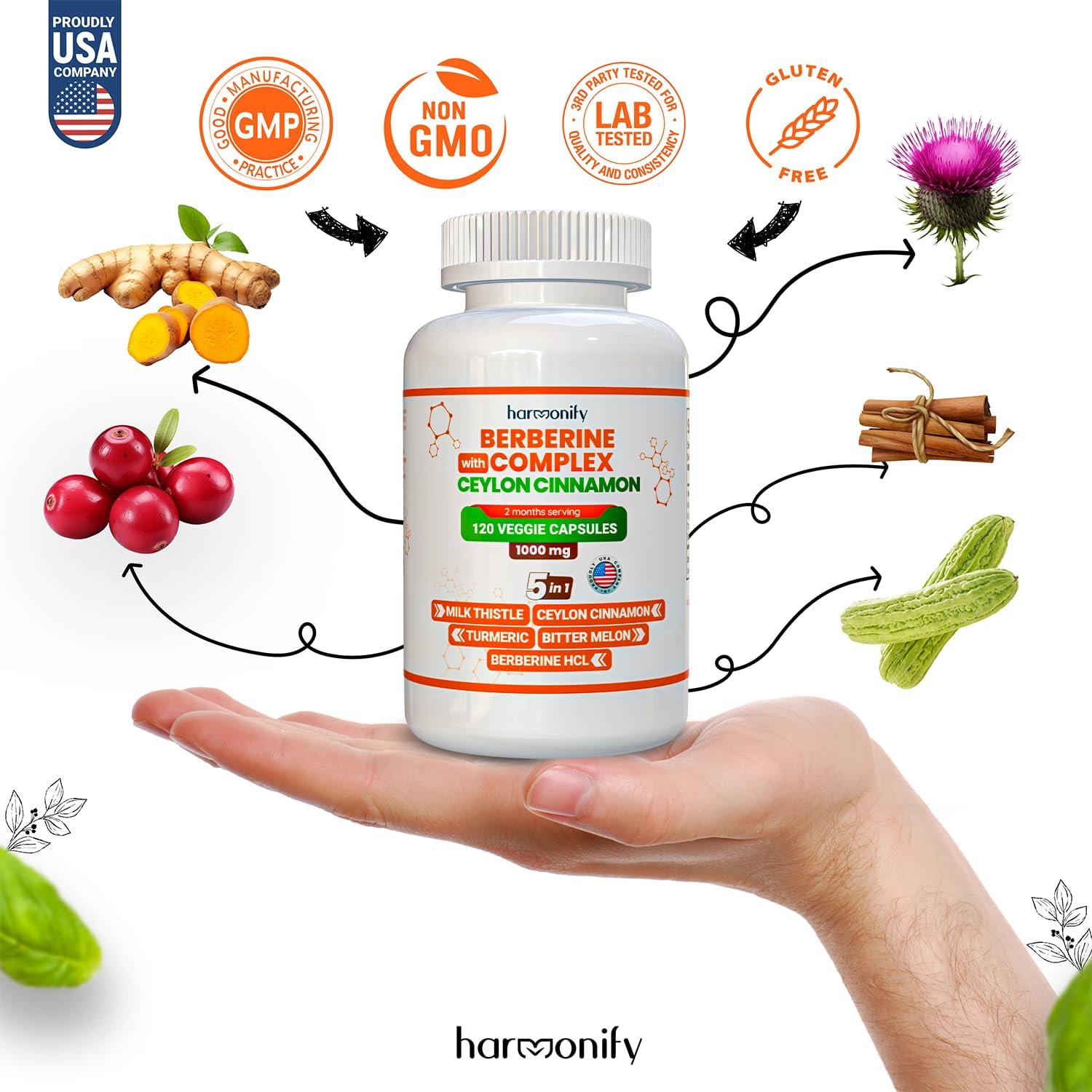 HARMONIFY Berberine Supplement with Ceylon Cinnamon, Milk Thistle, Turmeric, Bitter Melon - Immune Support - 60 Capsules, 1000 mg - Vegan & Non-GMO