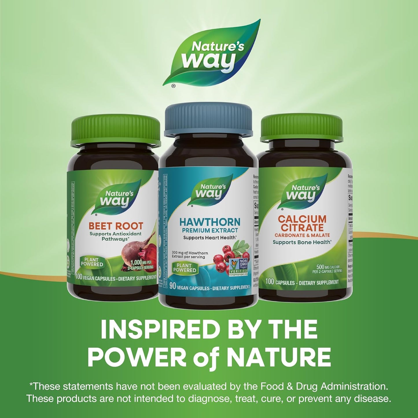 Hawthorn Premium Extract Capsules for Heart Health Support - 90 Count, Non-GMO, Vegan, 1.8% Flavonoids