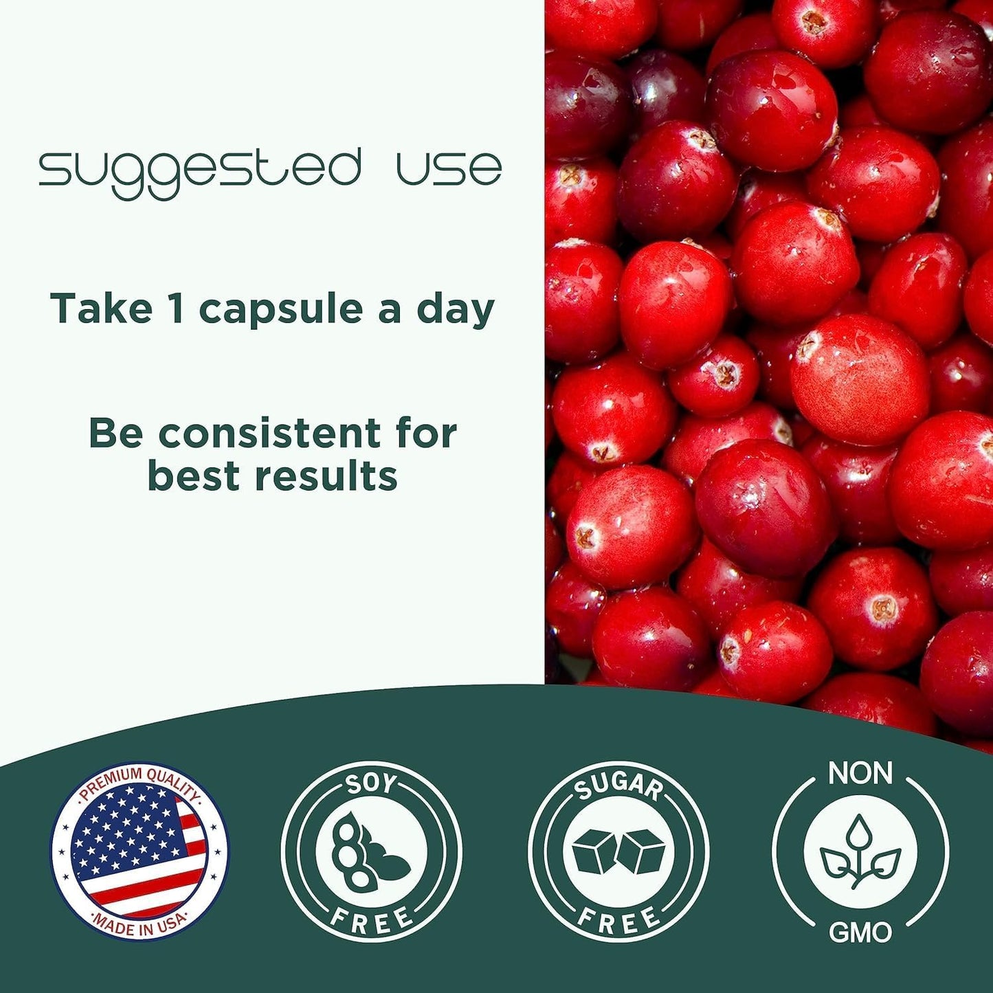 Heale CranCap Cranberry Supplement 120 Capsules - Supports Urinary Tract Health with 36mg of Potent PACs - Non GMO, Vegan, Gluten Free